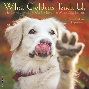 Calendar What Goldens Teach Us 2019 Wall Calendar (Dog Breed Calendar) Book