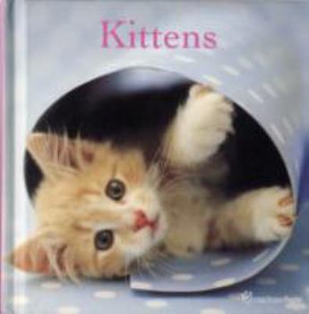 Hardcover Kittens Book