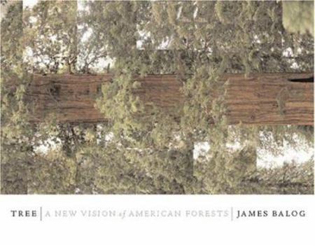 Hardcover Tree: A New Vision of the American Forest Book