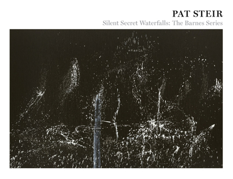 Paperback Pat Steir: Silent Secret Waterfalls: The Barnes Series Book