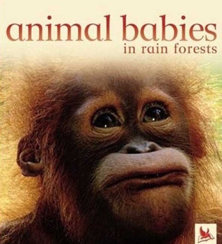 Animal Babies in Rain Forests (Animal Babies) - Book  of the Animal Babies