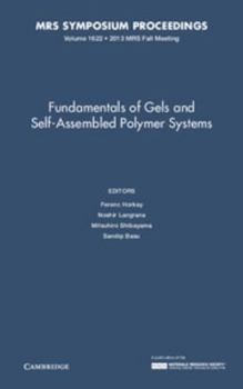 Hardcover Fundamentals of Gels and Self-Assembled Polymer Systems: Volume 1622 Book
