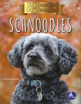Paperback Schnoodles Book