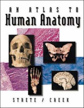 Spiral-bound An Atlas to Human Anatomy Book