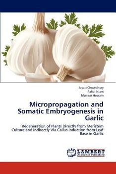 Paperback Micropropagation and Somatic Embryogenesis in Garlic Book