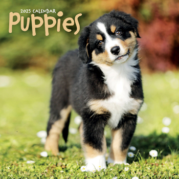 Calendar 2025 Puppies Wall Calendar Book