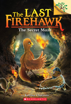 Paperback The Secret Maze: A Branches Book (the Last Firehawk #10): Volume 10 Book