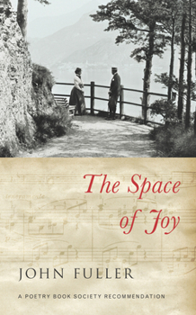 Paperback The Space of Joy Book