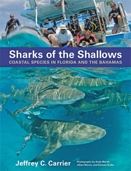 Hardcover Sharks of the Shallows: Coastal Species in Florida and the Bahamas Book