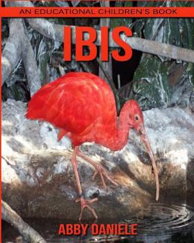 Paperback Ibis! An Educational Children's Book about Ibis with Fun Facts & Photos Book