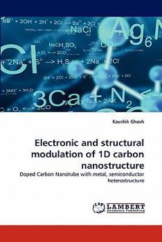 Paperback Electronic and structural modulation of 1D carbon nanostructure Book