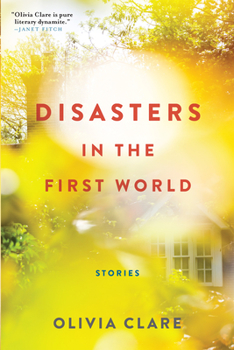 Paperback Disasters in the First World: Stories Book