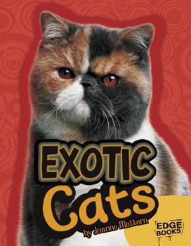 Hardcover Exotic Cats Book