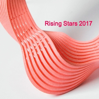 Paperback Rising Stars 2017 Book