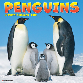 Calendar Penguins 2023 Wall Calendar Book
