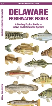 Paperback Delaware Freshwater Fishes: A Folding Pocket Guide to Native and Introduced Species Book