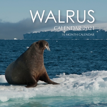 Paperback Walrus Calendar 2021: 16 Month Calendar Book