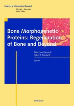 Paperback Bone Morphogenetic Proteins: Regeneration of Bone and Beyond Book