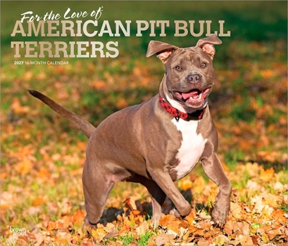 For the Love of American Pit Bull Terriers 2027 14 X 24 Inch (Hanging) Monthly Deluxe Wall Calendar Foil Stamped Cover Plastic-Free