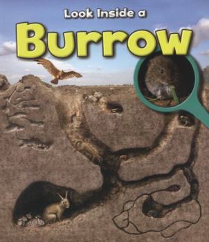 Burrow - Book  of the Usborne Look Inside