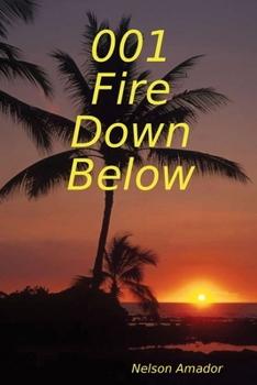 Paperback 001 Fire Down Below Book