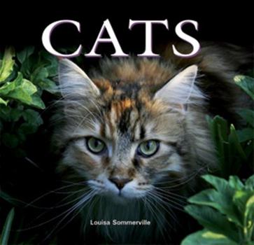Paperback Cats Book