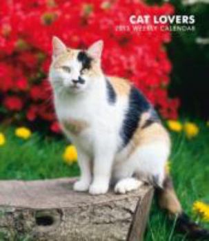 Cat Lovers 2013 Calendar (Multilingual Edition)