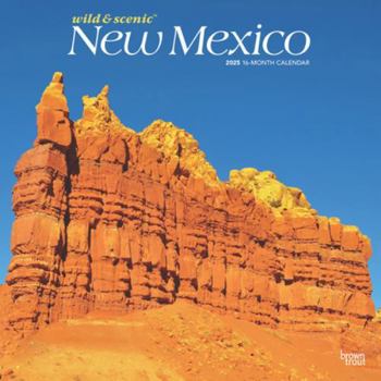 Calendar New Mexico Wild & Scenic 2025 12 X 24 Inch Monthly Square Wall Calendar Plastic-Free Book