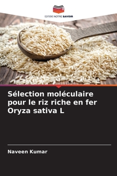 Paperback Sélection moléculaire pour le riz riche en fer Oryza sativa L [French] Book