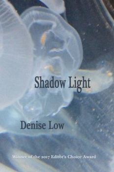 Paperback Shadow Light Book