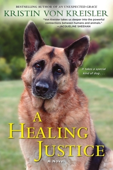 Paperback A Healing Justice Book