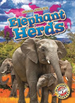 Elephant Herds (Animal Groups)