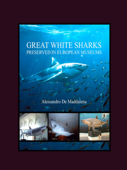 Hardcover Great White Sharks Preserved in European Museums Book