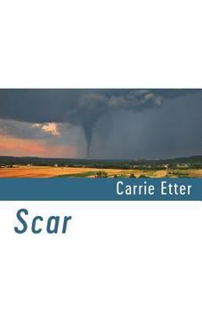 Paperback Scar Book