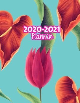 2020-2021 Planner: Two Year Calendar Organizer and Goal Journal | January 2020 - December 2021 Daily, Weekly and Monthly Planner Book with Back Sticker Expression Wall for 2 Years | Design Code 399947