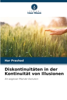 Paperback Diskontinuitäten in der Kontinuität von Illusionen [German] Book