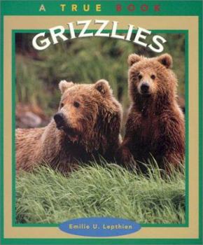 Paperback Grizzlies Book