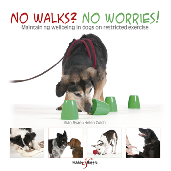 Paperback No Walks? No Worries!: Maintaining Wellbeing in Dogs on Restricted Exercise Book