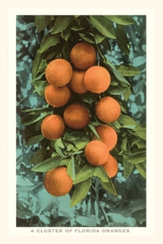 Paperback Vintage Journal Florida Oranges Book