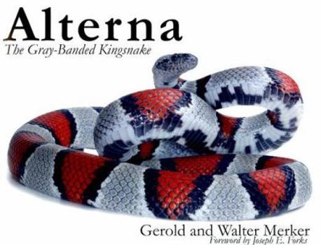 Paperback Alterna: The Gray-Banded Kingsnake Book