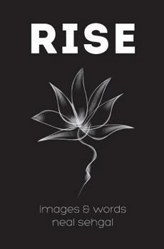 Paperback Rise Book