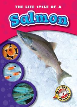 The Life Cycle of a Salmon - Book  of the Life Cycles