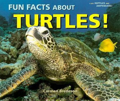 Paperback Fun Facts about Turtles! Book