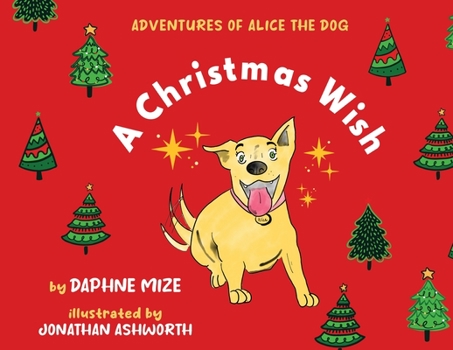 Paperback A Christmas Wish Book