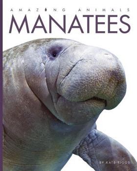 Manatees - Book  of the Amazing Animals