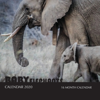 Baby Elephants Calendar 2020: 16 Month Calendar