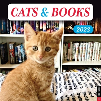 Calendar Cats & Books 2023 Wall Calendar Book