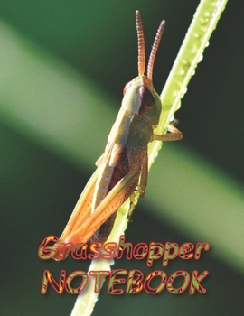 Grasshopper NOTEBOOK: Notebooks and Journals 110 pages (8.5"x11")