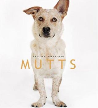 Hardcover Mutts Book