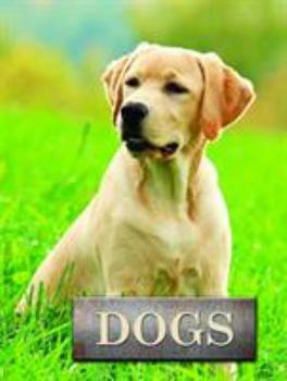 Hardcover Dogs Book